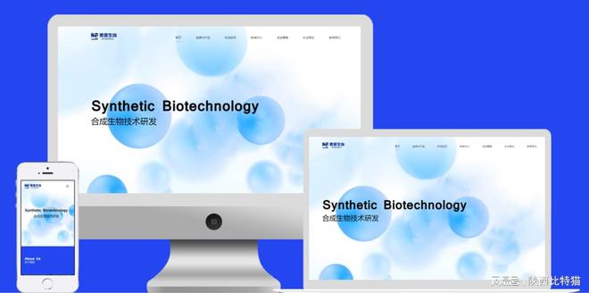 BD半島滿意多樣化需求的網(wǎng)站建立同伴：為您供給全方位建站處理計劃